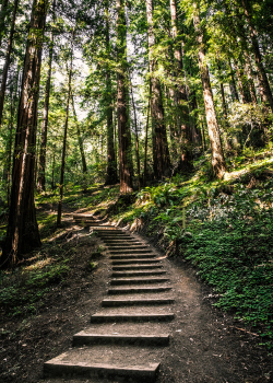 Votre naturopathe &agrave; Ploeren pr&egrave;s de Vannes