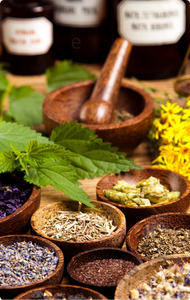 La phytologie et les huiles essentielles